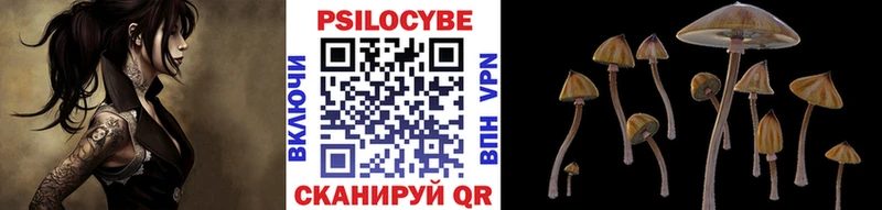 Псилоцибиновые грибы Psilocybine cubensis  дарнет шоп  MEGA вход  Тулун 