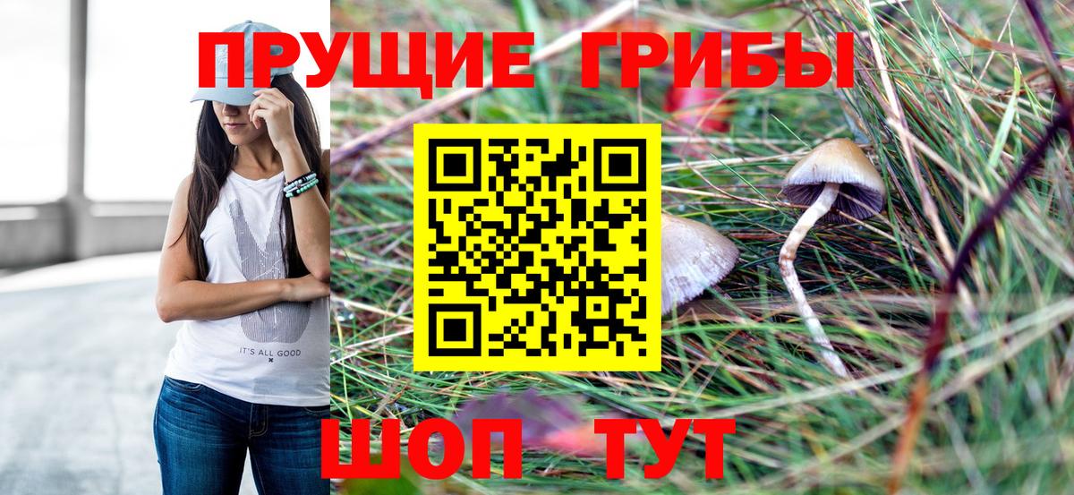 Псилоцибиновые грибы ЛСД  Вход с VPN  Тулун  Галлюциногенные грибы мицелий 